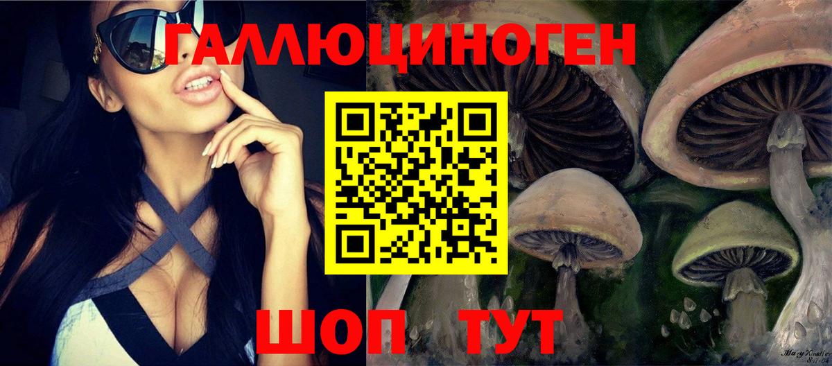 купить наркотик  Галлюциногенные грибы Psilocybe  Вход с VPN  Мытищи 